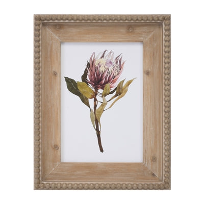 Protea Prints