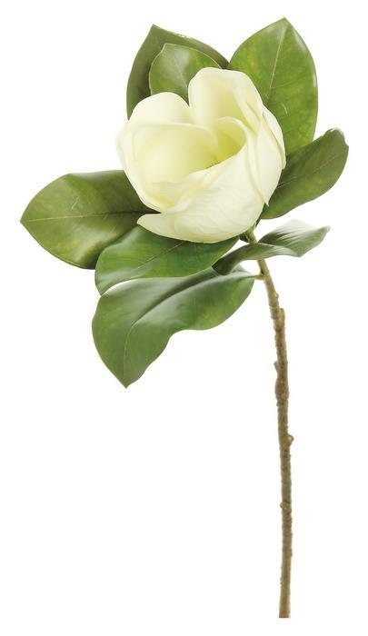 Magnolia Blossom & Foliage Spray