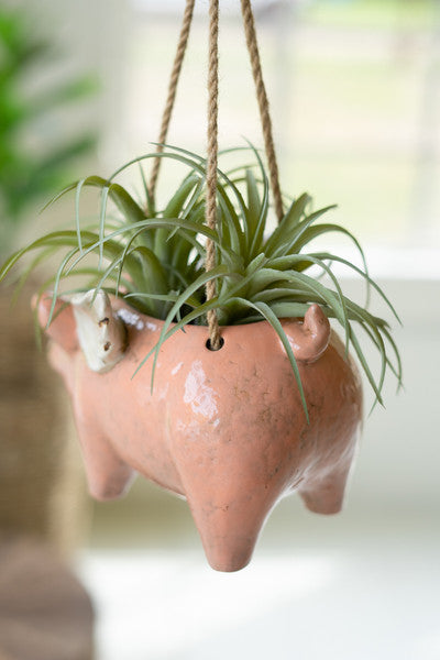 Flying Pig Planter