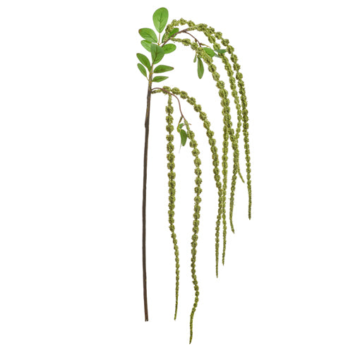 41” Amaranthus Spray
