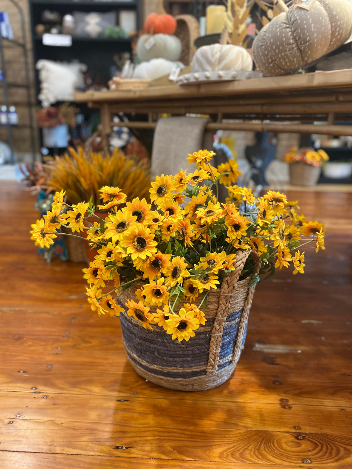 Mini Sunflower Bush