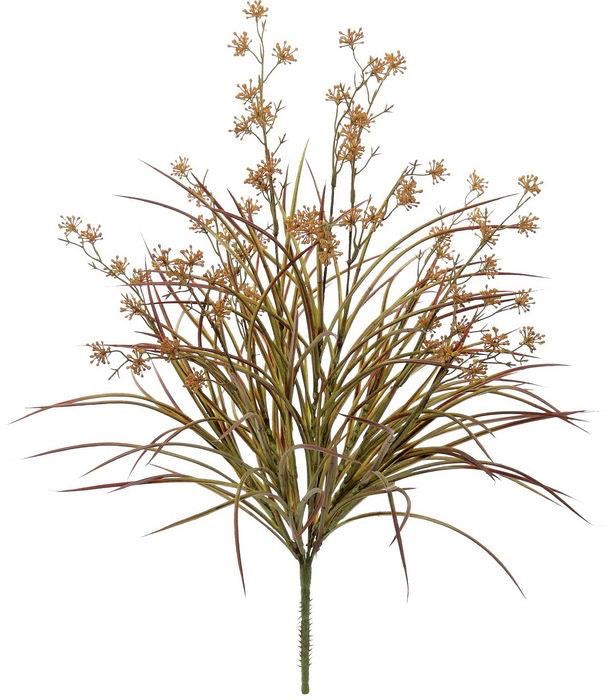 Mountain Grass Bush with Berries