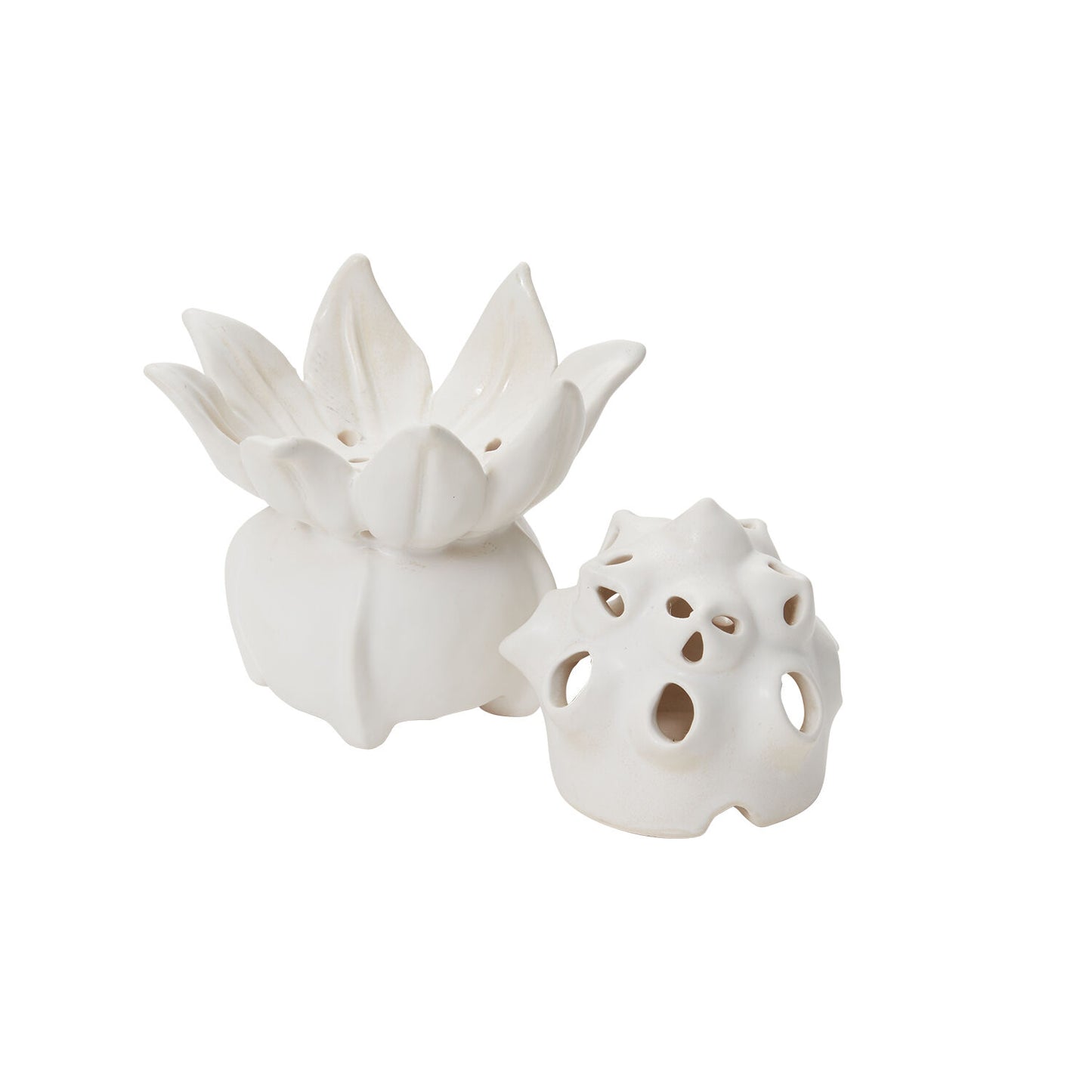 Shepherd Flower Frog