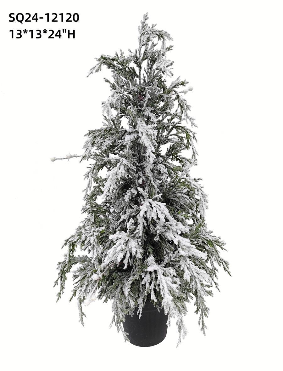 SNOWY PINE TREE IN POT