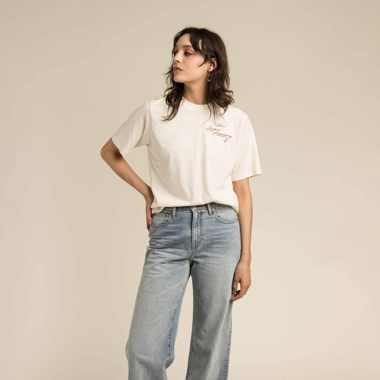 Fast Horse T-Shirt: Large