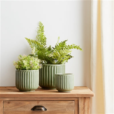 Terra Cotta Planter