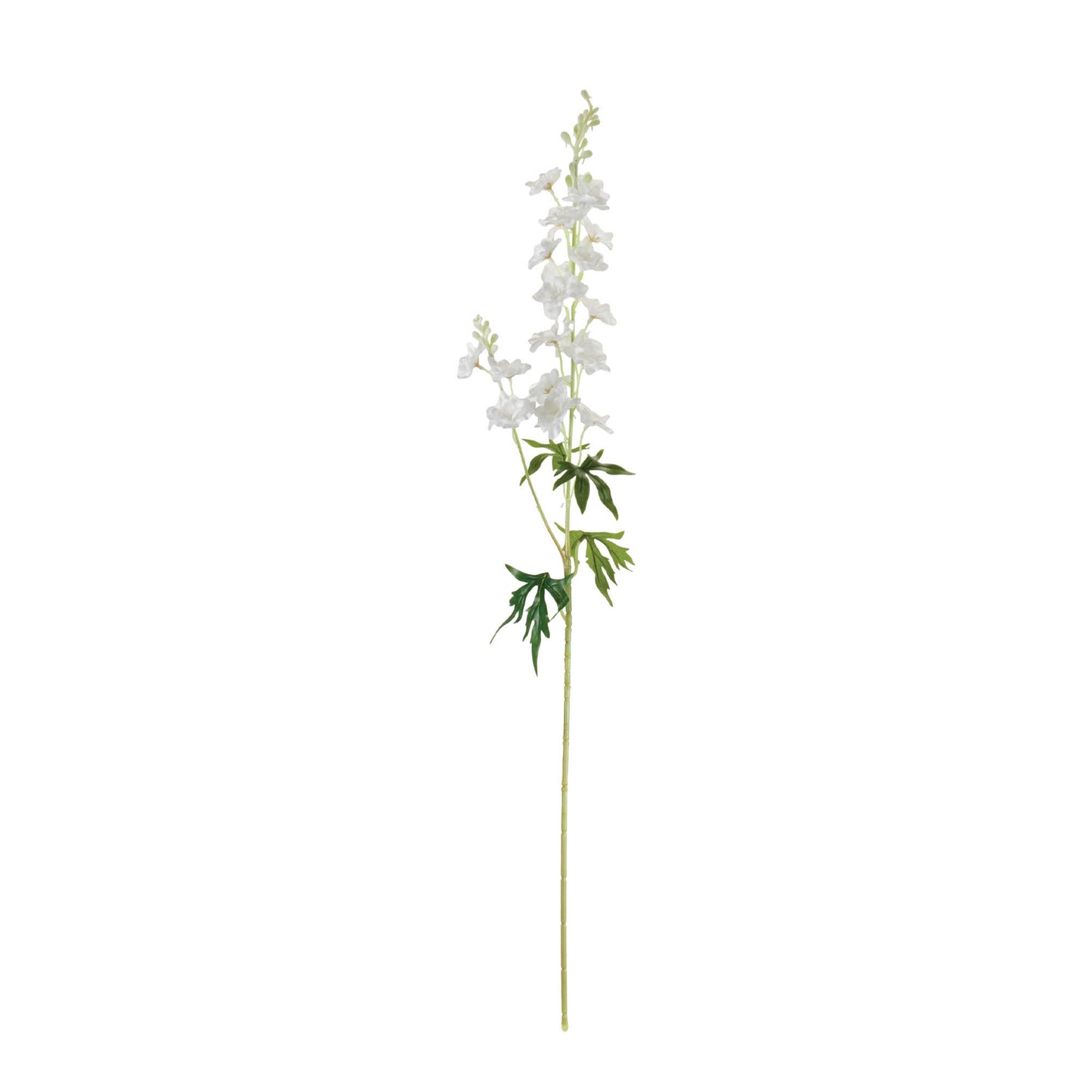 DELPHINIUM STEM 33”H