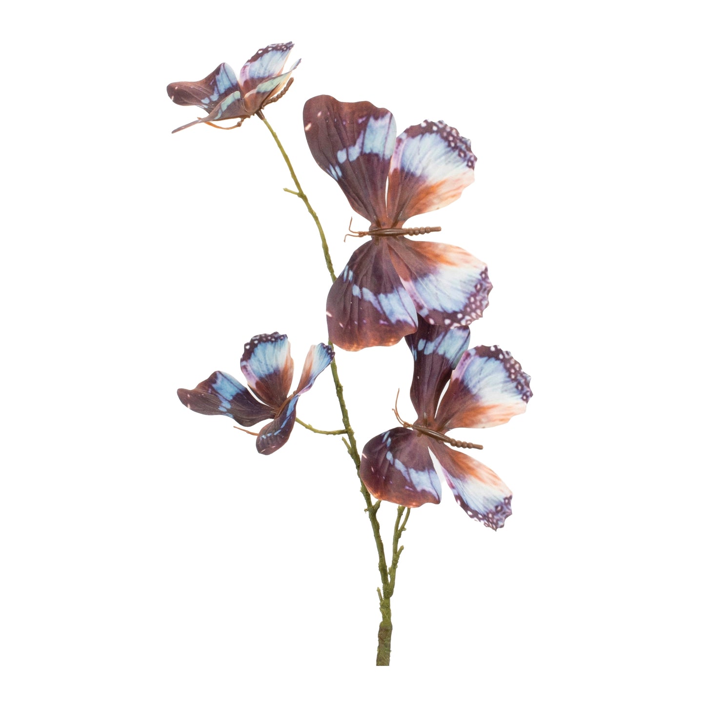 Brown Butterfly Spray