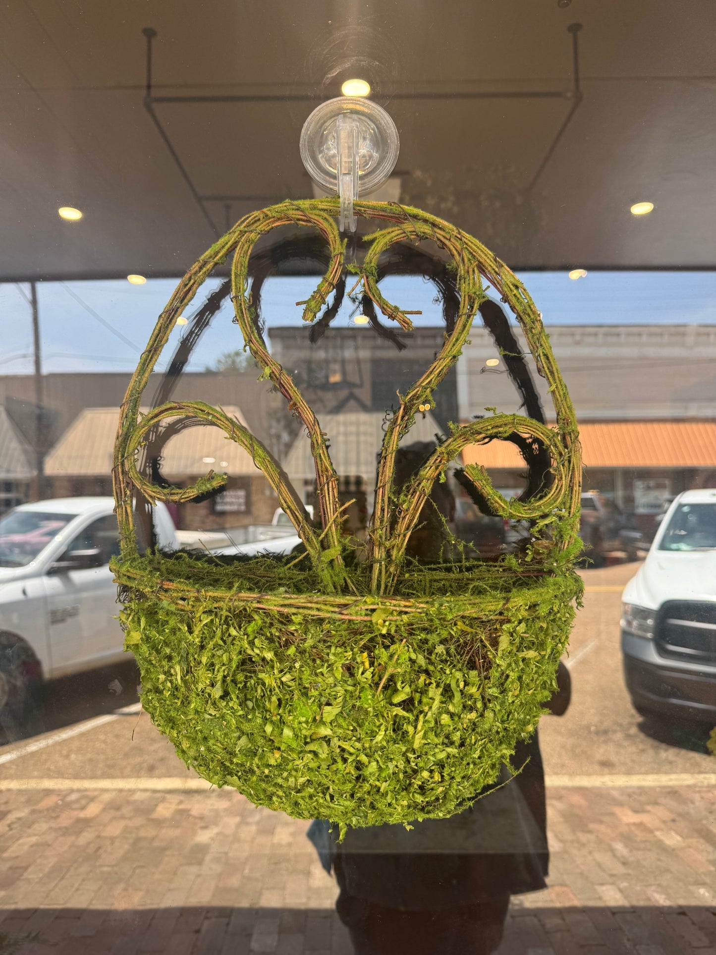 Moss Wall/Door Basket