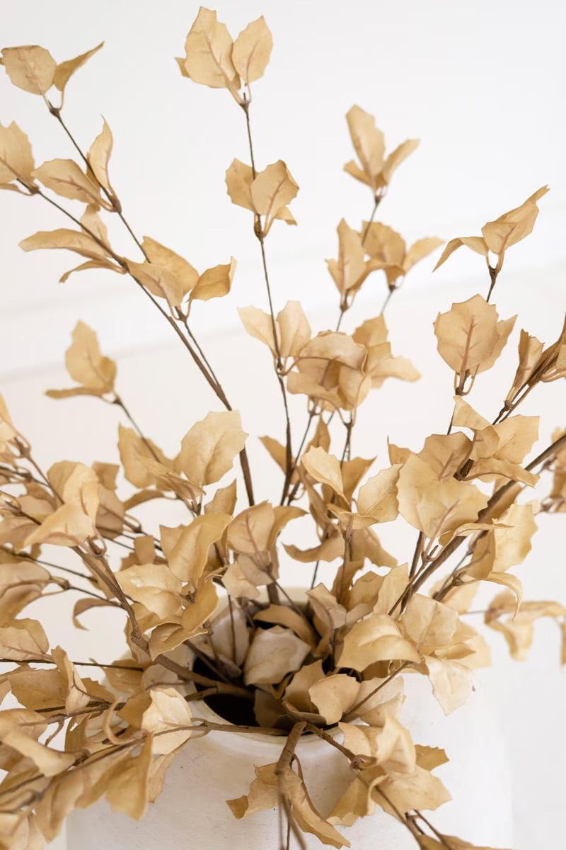 Botanica 9038