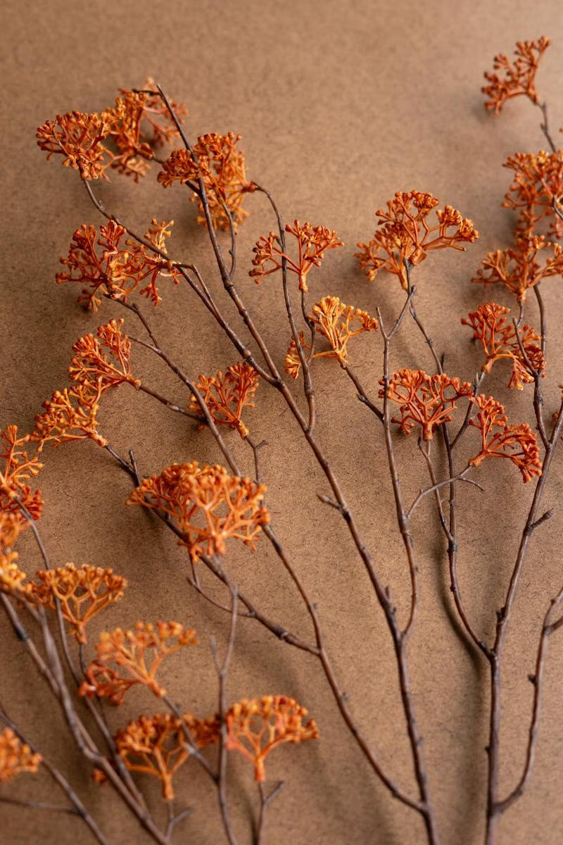 Autumn Fern Stem