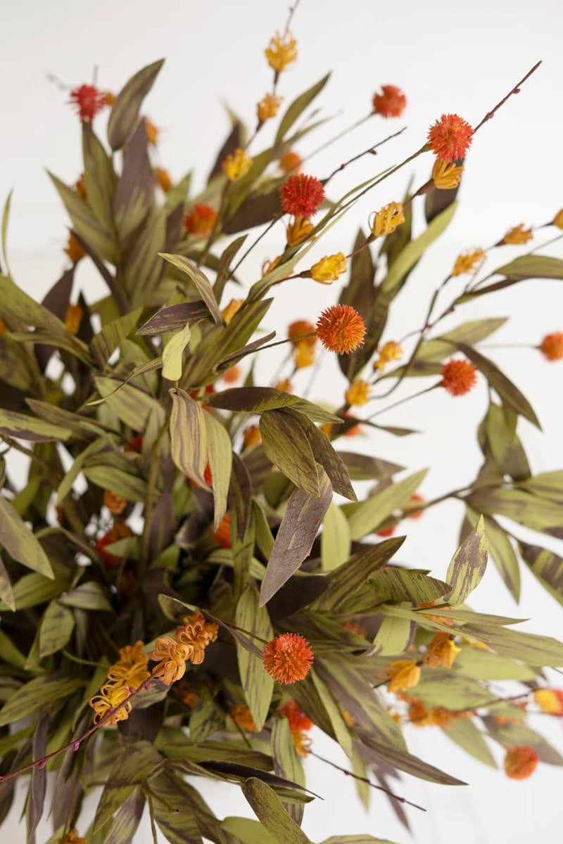 Botanica 2818