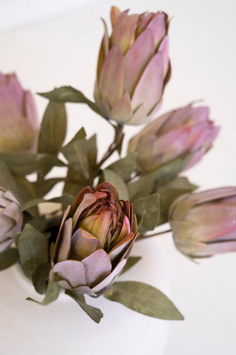Botanica 9032