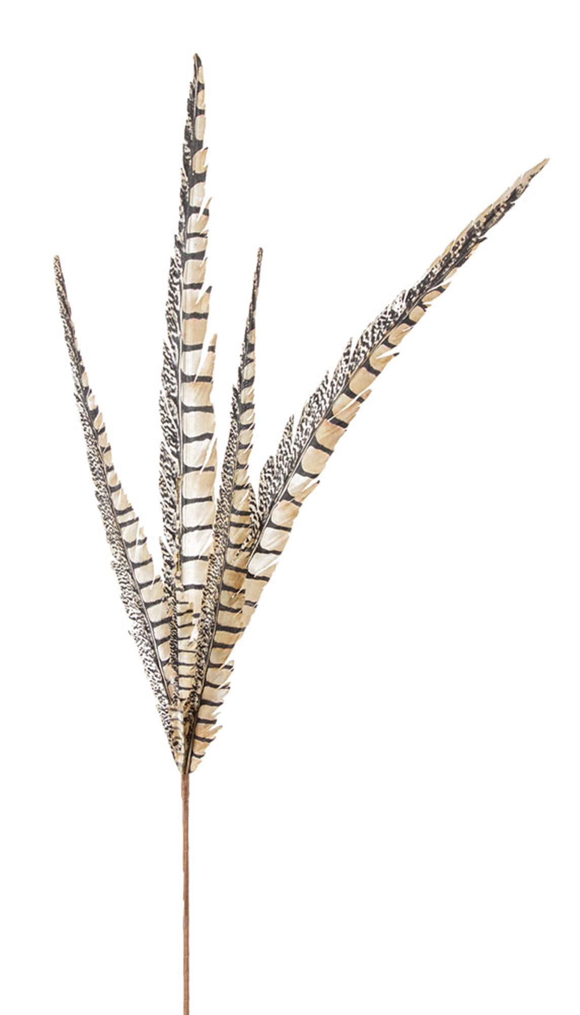 Faux Feather 29"