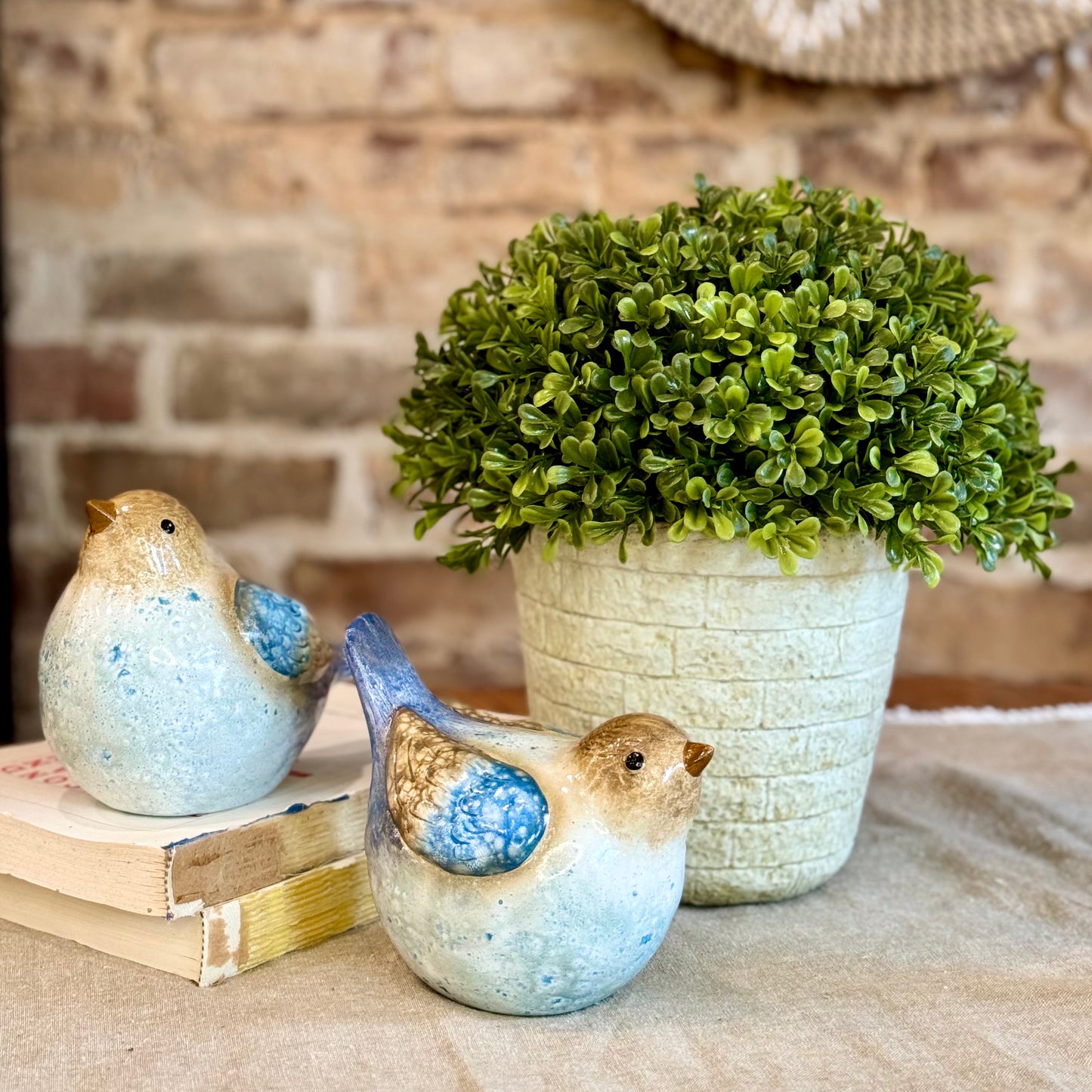 Spring Boxwood Dome Topiary