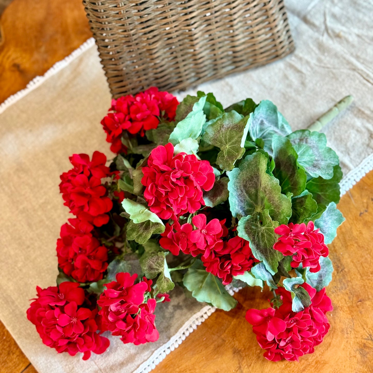 Hanging Summer Geranium Plant