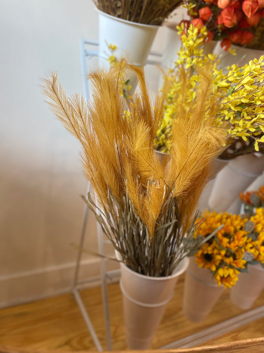 Pampas Grass- Gold