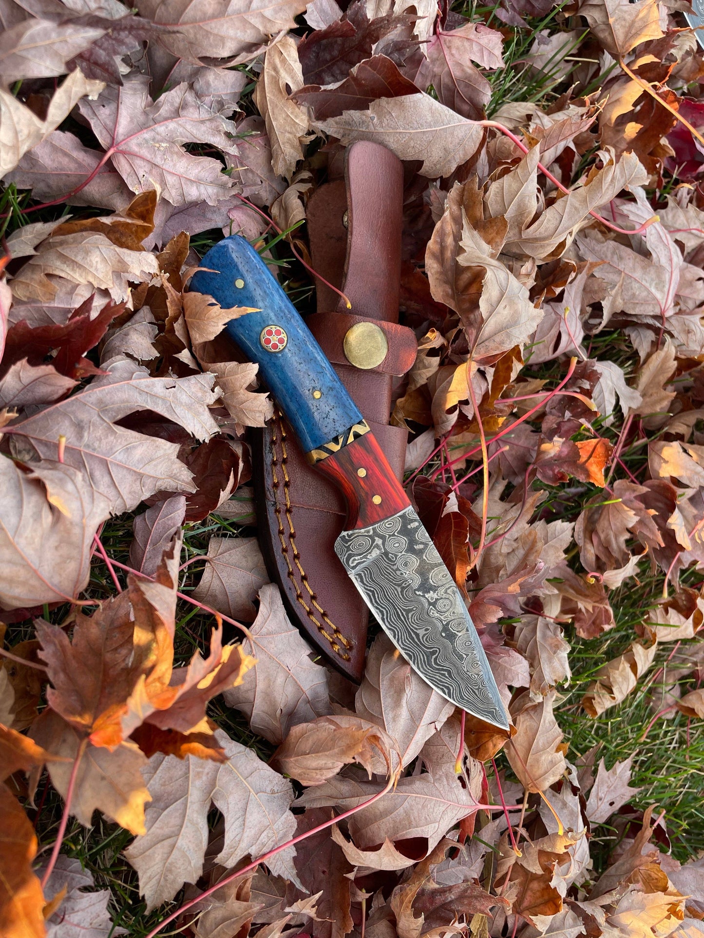 Aurora Blade Damascus Hunting Knife