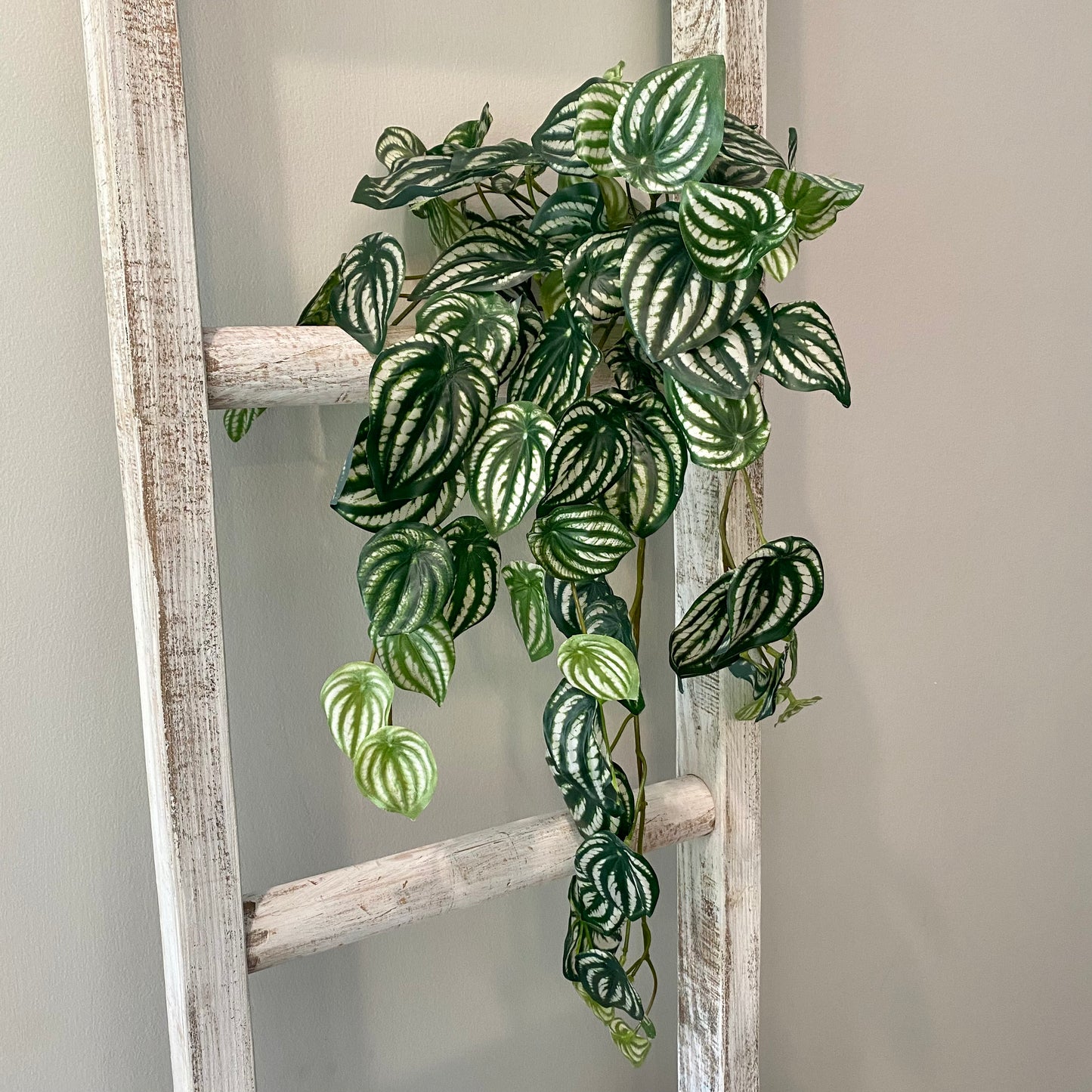 WATERMELON VINE/BUSH 25"