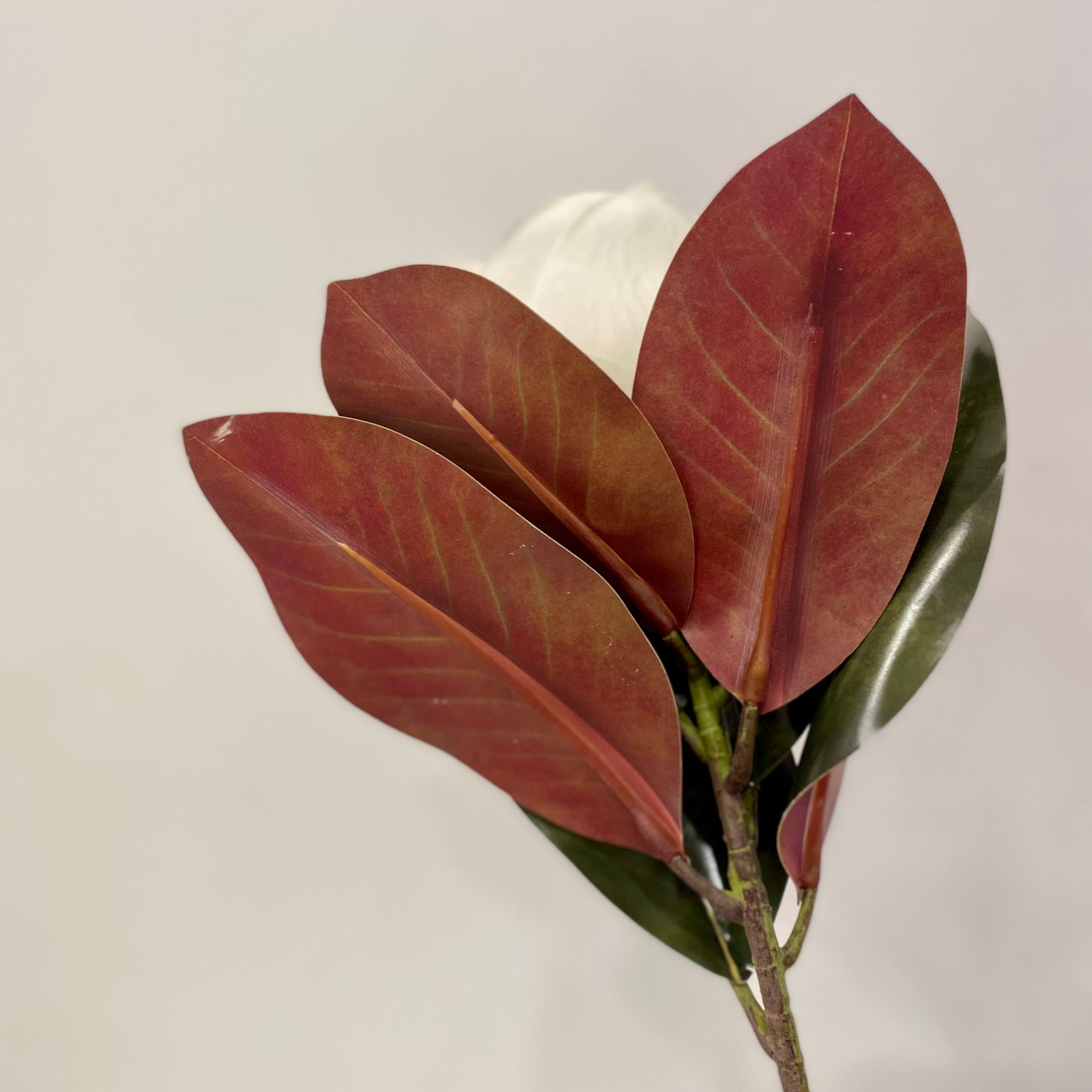 Magnolia Blossom & Foliage Spray