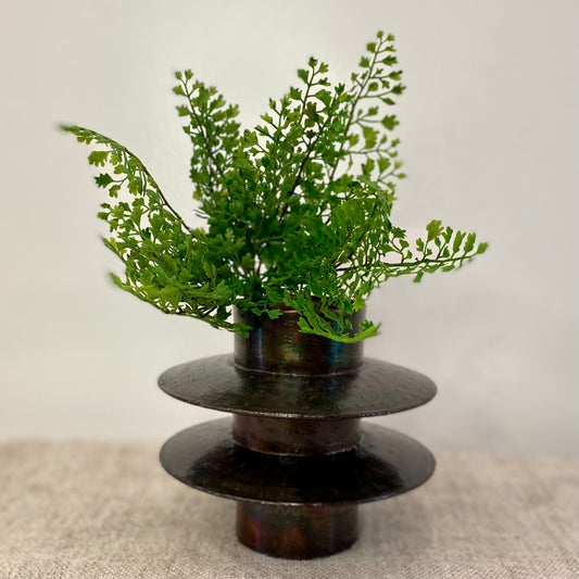 Maidenhair Fern Plant 11”