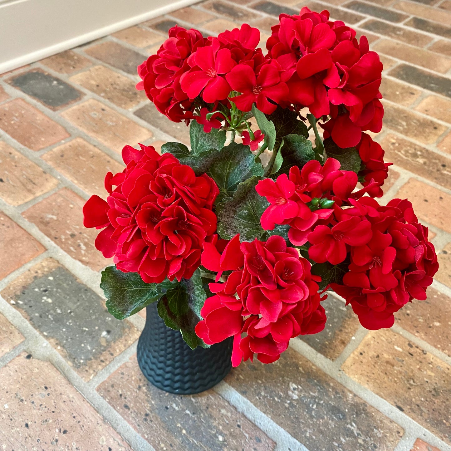 Geranium Bush, Red 18”