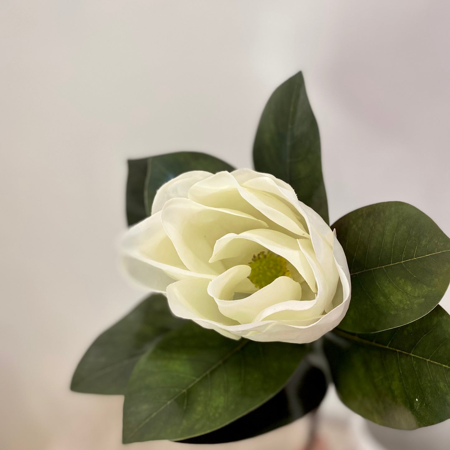 Magnolia Blossom & Foliage Spray