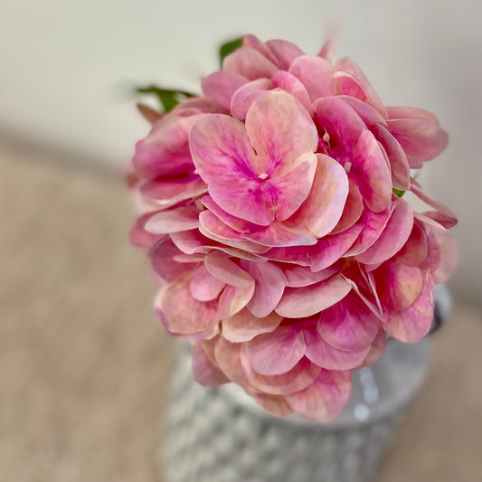 Hydrangea Pick- Orchid