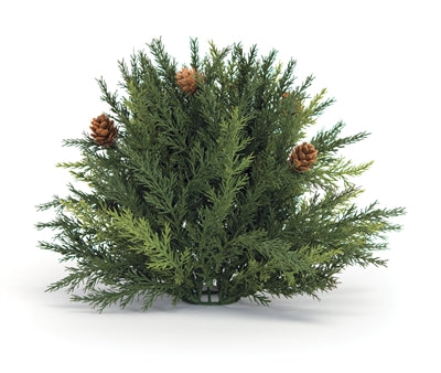 Arborvitae Half Orb 8.5"