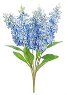 Delphinium Bush, Blue