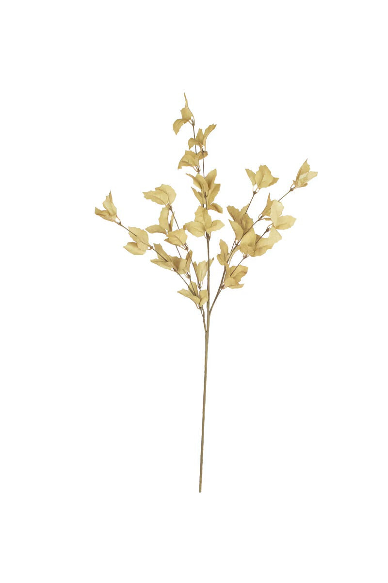 Botanica 9038