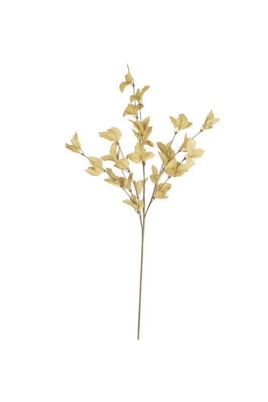 Botanica 9038