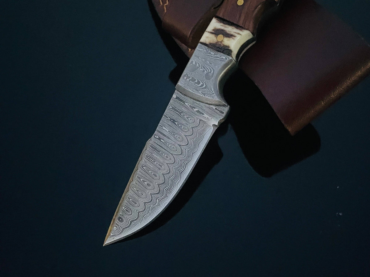 DAMASCUS STEEL FIXED BLADE KNIFE WITH WALNUT & STAG HORN HAN