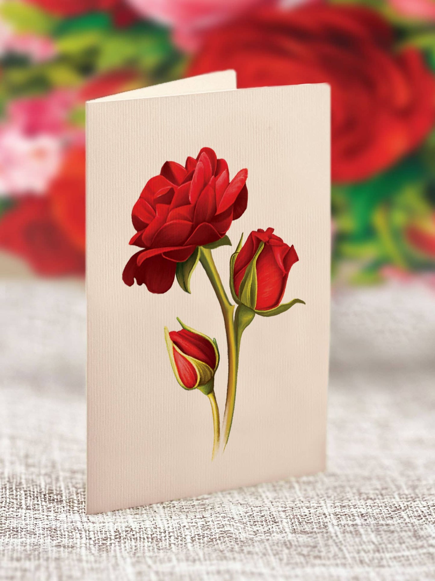Mini Blooming Roses