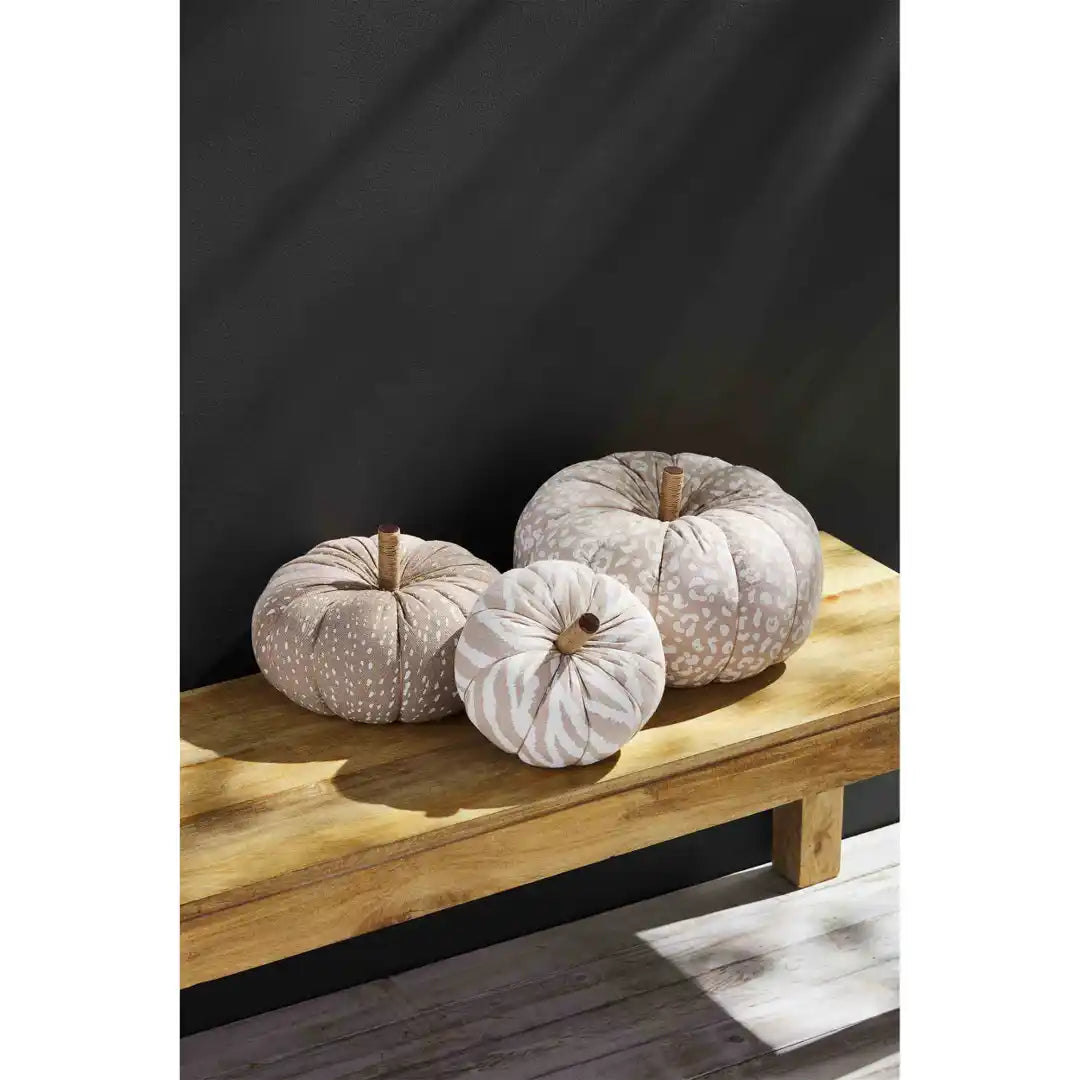 Zebra Pumpkin Sitter