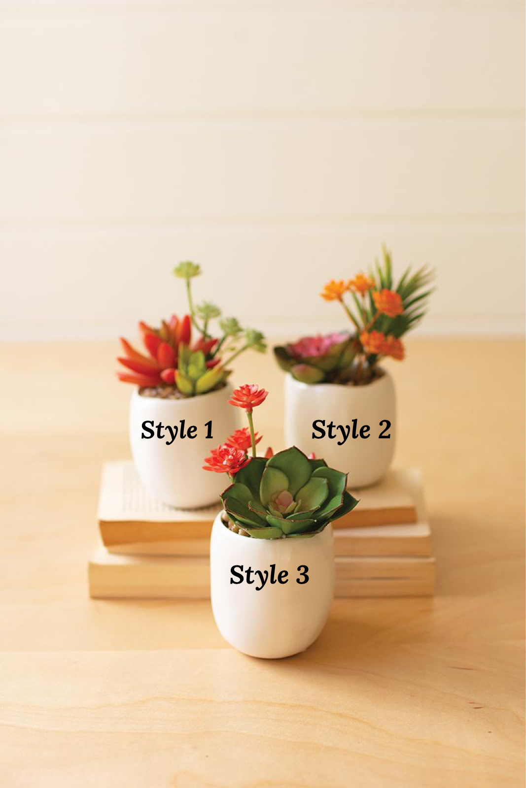Succulents in Ceramic Pot