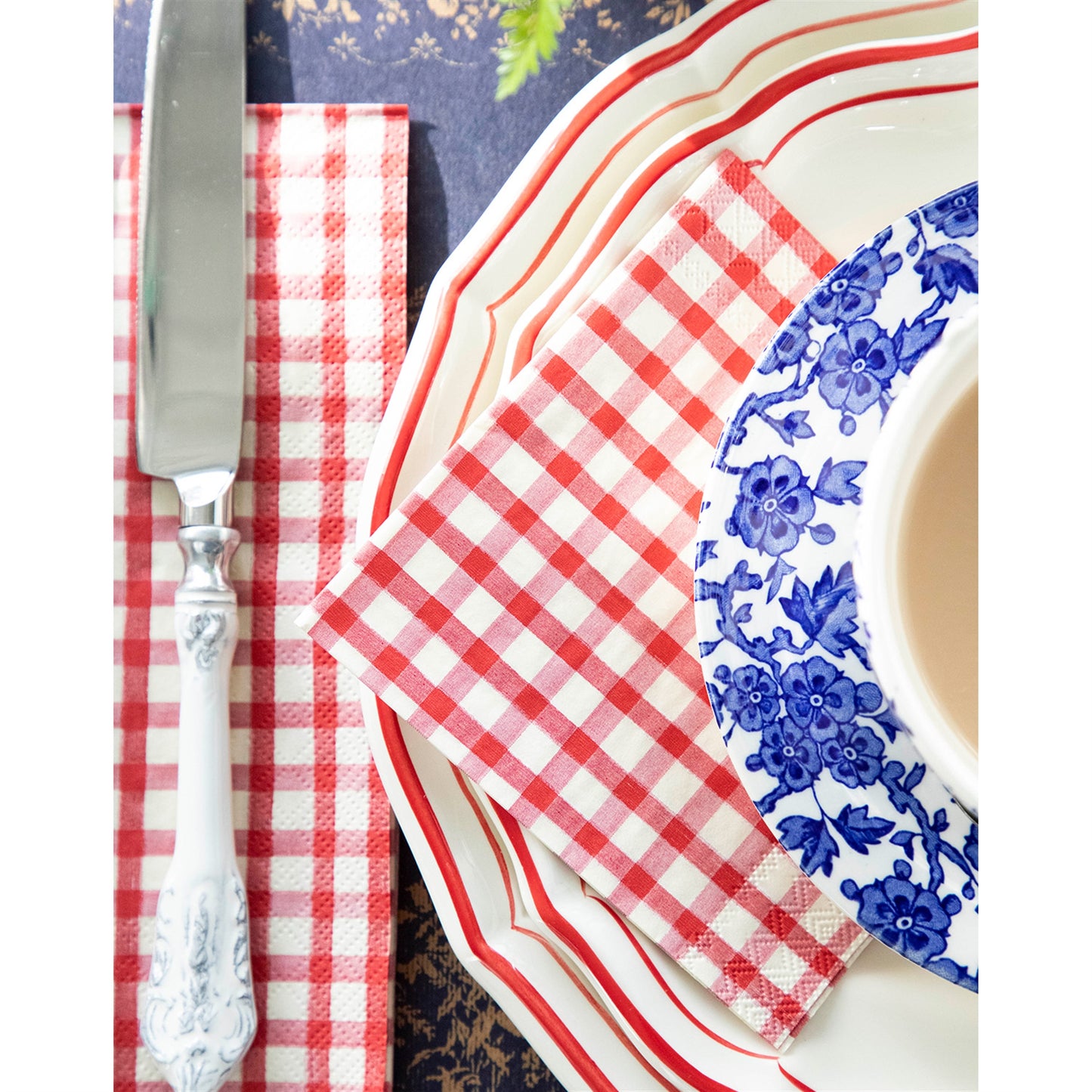 Red Painted Check Napkin