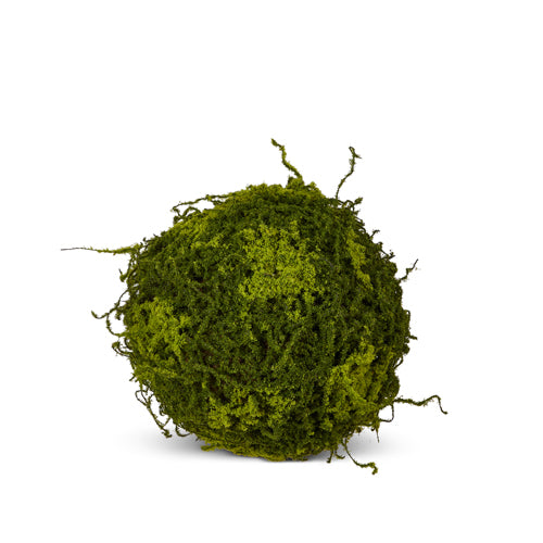 Moss Balls