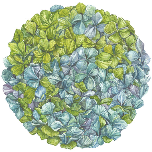 Hydrangea Placemats - 12 Sheets