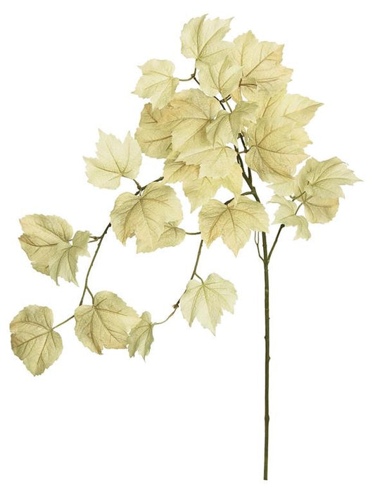 LEAF SPRAY, 29", PARCHMENT