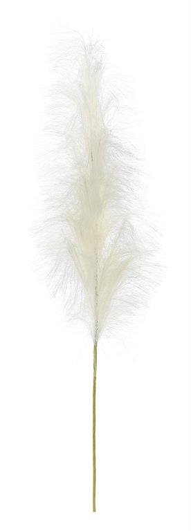 Cream Pampas Bloom, 40”