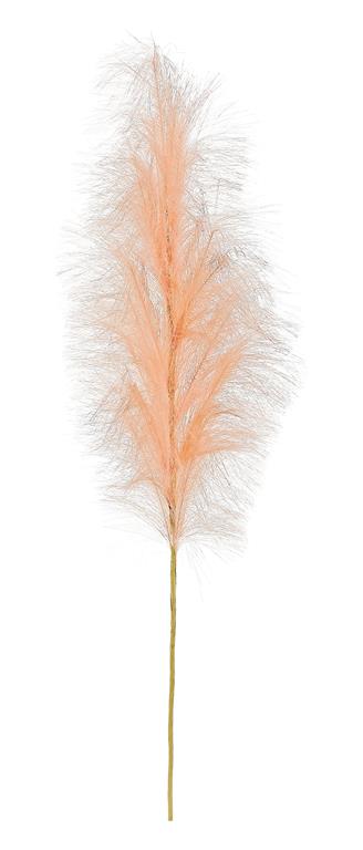 Coral Pampas Bloom, 40”