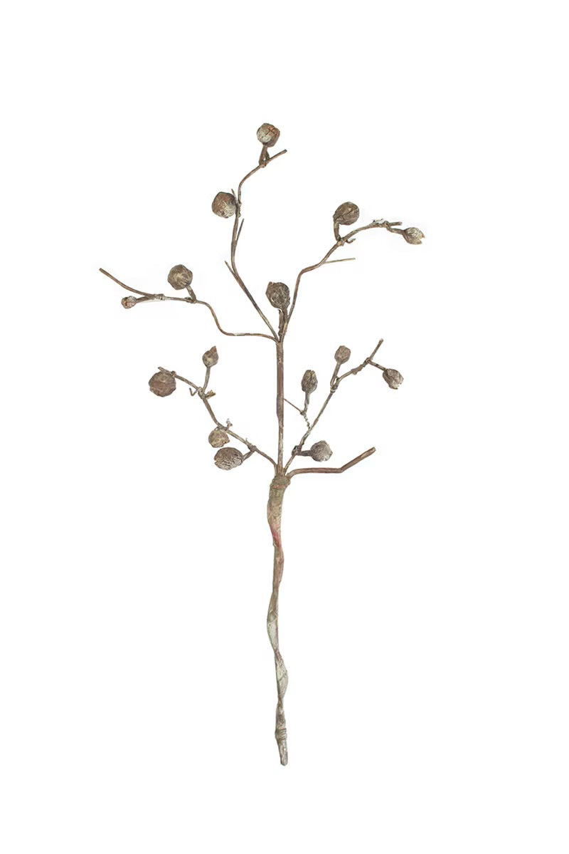 Botanica 2863