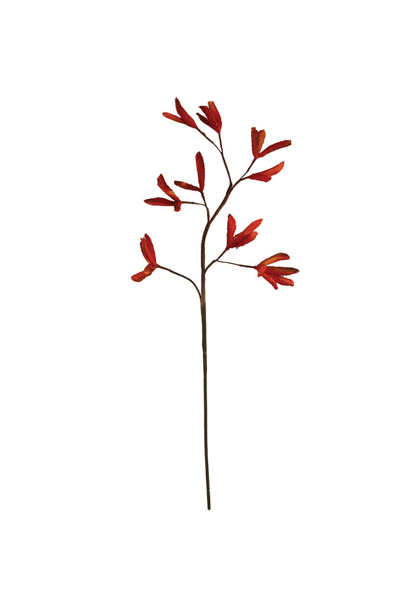 Red Botanical