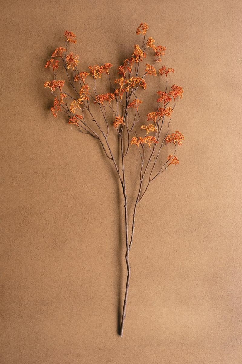 Autumn Fern Stem