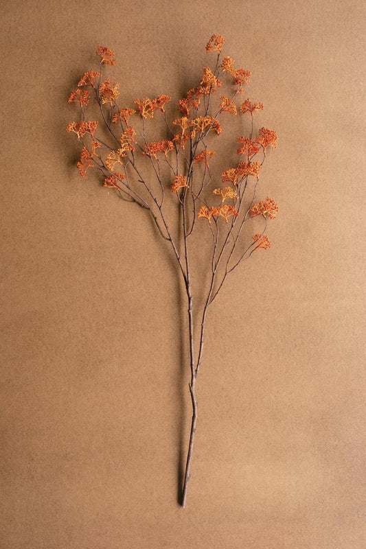 Rice Flower Stem- Rust