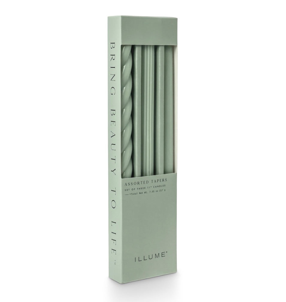 Assorted Taper Candles 3-Pack- Hinoki Sage
