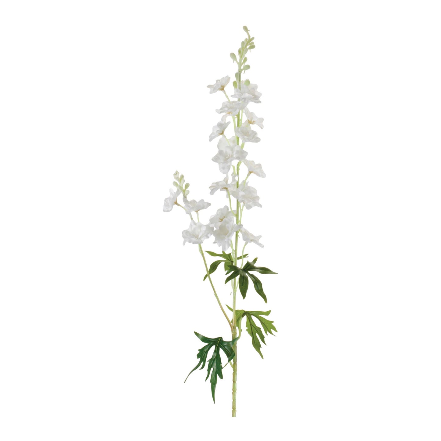 DELPHINIUM STEM 33”H