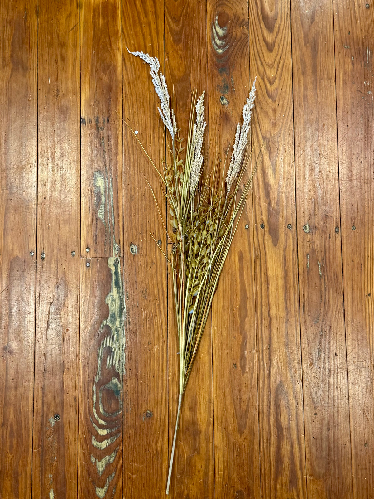 Seeding Field Grass Bush- Beige