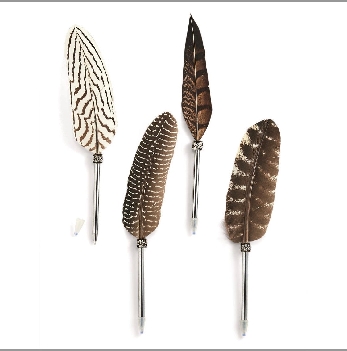 Vintage Feather Pens